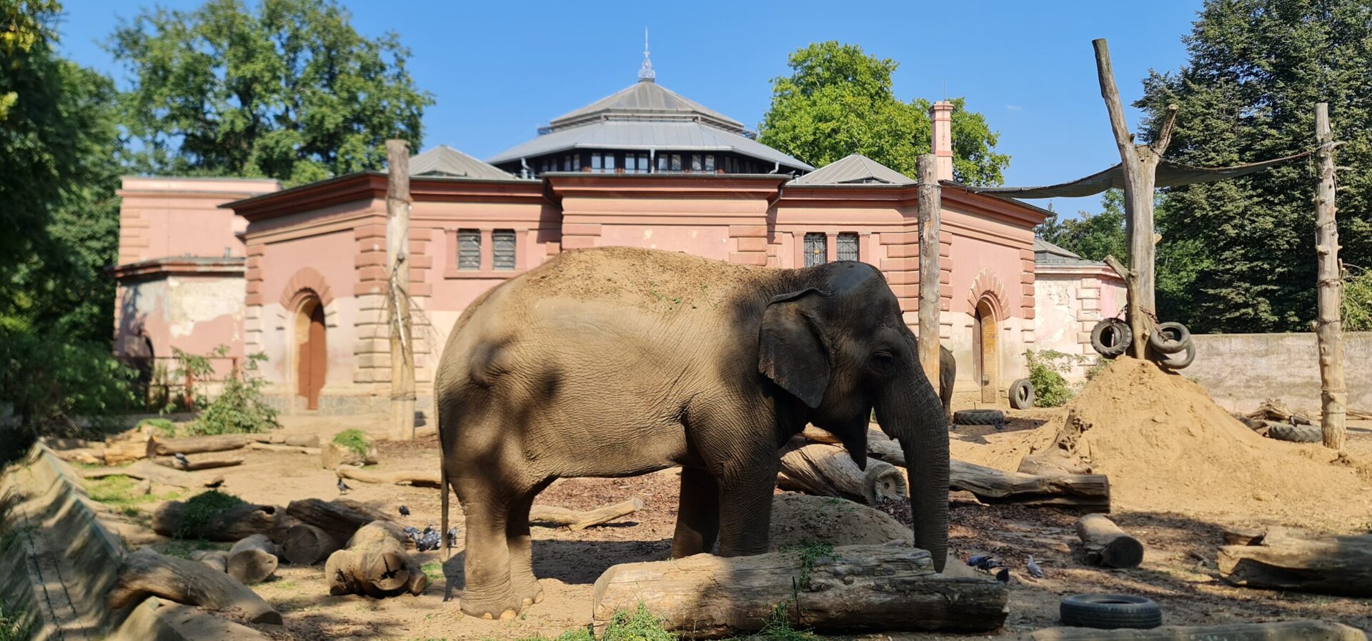 ZOO Wrocław i Afrykarium